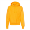 Champion reverse weave hooded sweatshirt