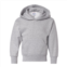 Hanes ecosmart youth hooded sweatshirt