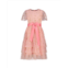 Holly Hastie cinderella star tulle party dress