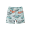 Tea Collection baby swim trunk