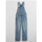 Gapfactory Kids Denim Overalls
